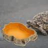 Bassin de nourriture pour animaux de compagnie – vue 3