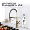 Robinets de cuisine en or brossé – vue 5