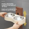 Bol d'arrosage mural pour chats – vue 4