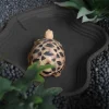 Plat d&rsquo;eau pour reptiles, bassin de bain pour tortues, bassin de bain pour grenouilles, peut être utilisé comme bol de nourriture et bassin d&rsquo;eau pour reptiles et amphibiens
