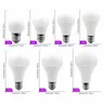 Ampoule LED E14 – vue 3