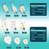 Ampoule LED rétro Edison E14 inda AC 220V 2W 4W 6W 8W – vue 2