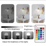 Ampoule LED RGB 16 couleurs E14 – vue 5