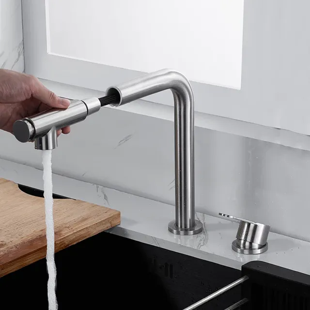 Pulvérisateur extractible – vue 2