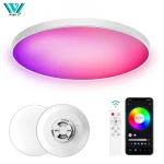 Plafonnier Led intelligent 24W lustre rond 30W Audio musique jouer APP Bluetooth WIFI plafonnier Ultra mince éclairage intérieur