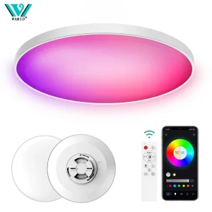 Plafonnier Led intelligent 24W lustre rond 30W Audio musique jouer APP Bluetooth WIFI plafonnier Ultra mince éclairage intérieur Plafonnier Led intelligent 24W lustre rond 30W Audio musique jouer APP Bluetooth WIFI plafonnier Ultra mince éclairage intérieur
