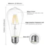 Lampe à économie d'énergie LED Edison – vue 2