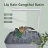 Baignoire automatique pour perroquets et oiseaux – vue 5