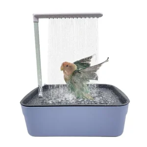 Baignoire automatique pour perroquet avec douche, bain d’eau de cowculation pour animaux de compagnie, accessoires pour perruche Baignoire automatique pour perroquet avec douche, bain d’eau de cowculation pour animaux de compagnie, accessoires pour perruche