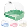 Calopsitte bain d'oiseaux – vue 1