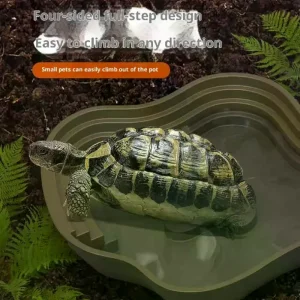 Bassin de bain tortue grenouille avec rampe antidérapante, peut également être utilisé comme bol de nourriture et bassin d’eau pour reptiles et amphibiens Bassin de bain tortue grenouille avec rampe antidérapante, peut également être utilisé comme bol de nourriture et bassin d’eau pour reptiles et amphibiens