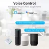 Commutateur intelligent Wifi – vue 5