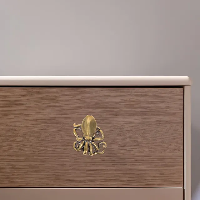 Poignée de porte poulpe en laiton brossé – vue 4