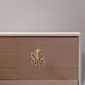 Poignée de porte poulpe en laiton brossé – vue 4