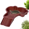Reptile baignoire piscine Aquarium tortue escalade… – vue 1