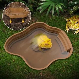 Bassin solide pour tortue