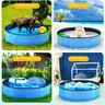 Baignoire bleue pour chien – vue 3