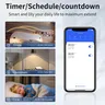 Commutateur WiFi intelligent Tuya 1/2CH – vue 4