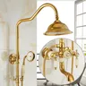 Pommeau douche mural laiton massif finition…