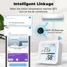 Tuya – vue 6