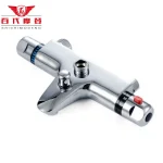 Robinet de douche thermostatique mural chromé, robinet de douche à une poignée, centre commercial, HOModern