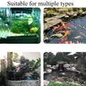 Système filtration eau aquarium décanteur plastique… – vue 6