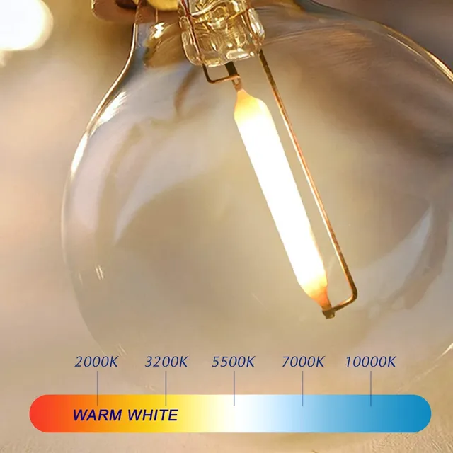 Ampoule Led 5V 24V 110V 220V – vue 5