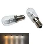 Ampoule LED E12, Source de Lumière Décorative en Plastique, Verre PC, Blanc Froid/Chaud, AC 110V 220V, 1W