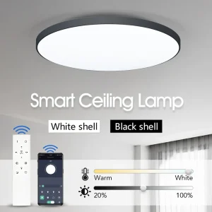 Plafonnier LED intelligent, lustre avec application, appareil télécommandé, 36W 50W 80W, luminaire décoratif d’intérieur pour la maison, salle de bains, chambre à coucher Plafonnier LED intelligent, lustre avec application, appareil télécommandé, 36W 50W 80W, luminaire décoratif d’intérieur pour la maison, salle de bains, chambre à coucher