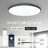 Plafonnier LED intelligent