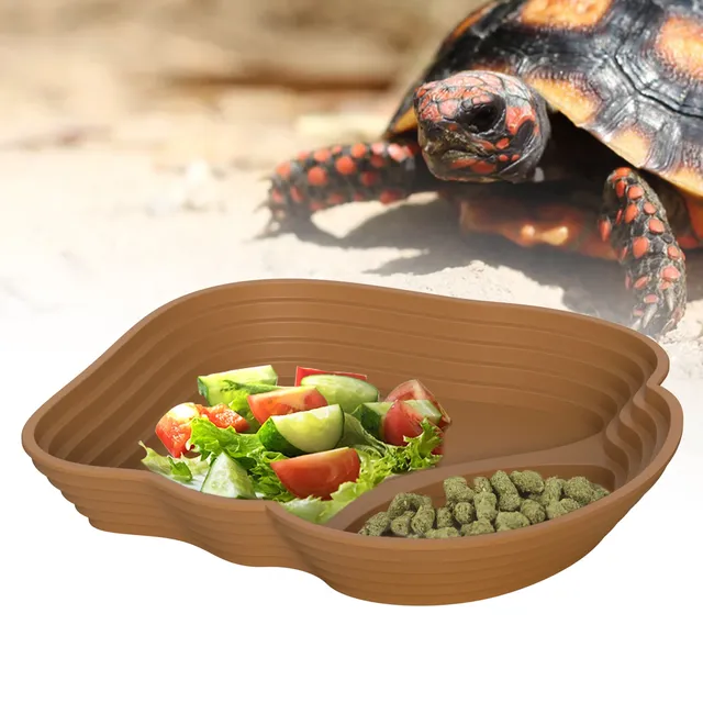 Baignoire tortue grenouille bol eau terrarium vivarium… – vue 4