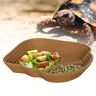 Baignoire tortue grenouille bol eau terrarium vivarium… – vue 4
