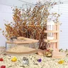 HOHouse-Récipient de bain pour petit animal de compagnie – vue 5