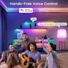 Tuya – vue 4