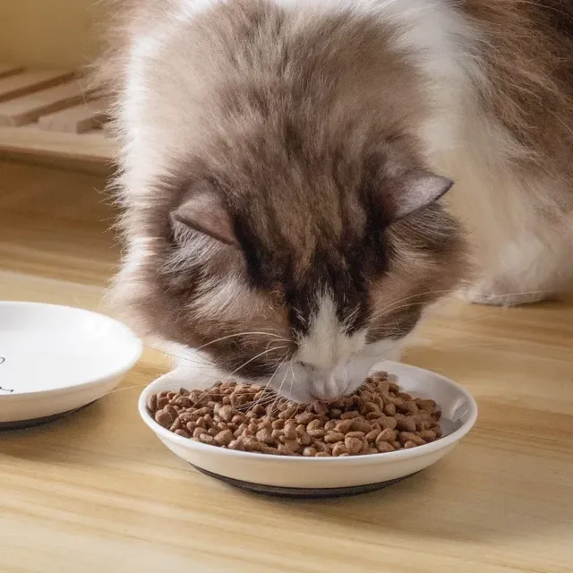 Filles en céramique pour animaux de compagnie T1 – vue 4