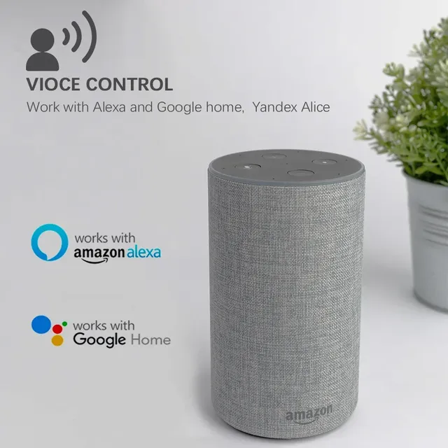 Tuya – vue 4