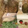 Boîte de bain de sable pour maison de salle de bain pour… – vue 4