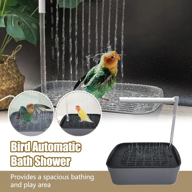 Baignoire automatique pour perroquets et oiseaux
