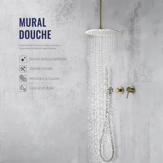Ensemble de système de douche en or brossé