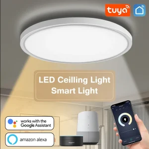 Plafonnier LED intelligent 28W WiFi Tuya App Google Alexa Echo AI commande vocale ronde maison montage en Surface plafonnier moderne