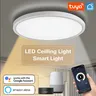 Plafonnier LED intelligent 28W WiFi Tuya App…
