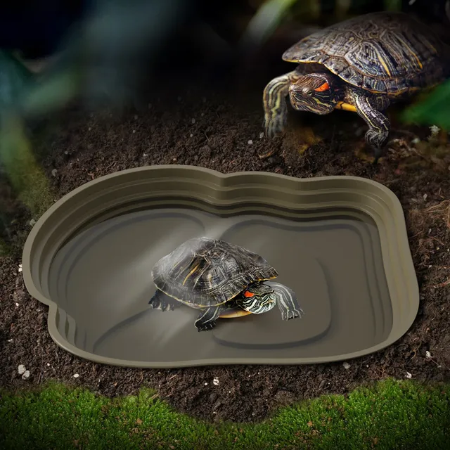 Baignoire tortue grenouille bol eau terrarium vivarium… – vue 2