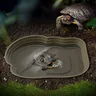 Baignoire tortue grenouille bol eau terrarium vivarium… – vue 2