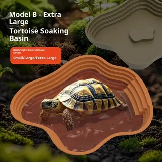 Bassin de bain tortue grenouille avec rampe antidérapante