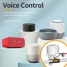 Vanne d'eau et de gaz Tuya WiFi – vue 4