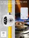 Vanne intelligente pour maison intelligente DN15 DN20 DN25 – vue 3
