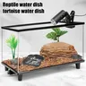 Plat d'eau pour reptiles – vue 3