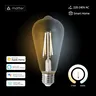 Zemismart-Ampoule à Filament LED WiFi – vue 1