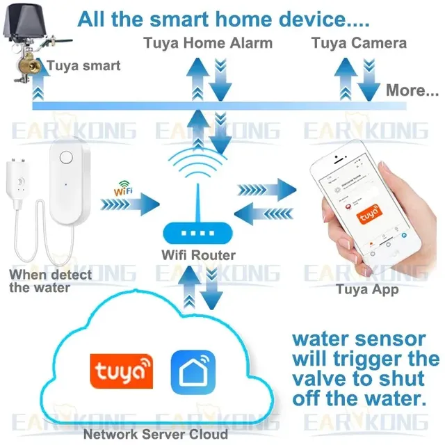 Tuya – vue 4