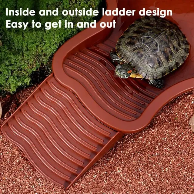 Reptile baignoire piscine Aquarium tortue escalade… – vue 3